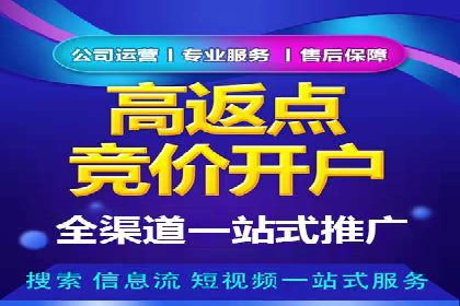 某企业通过开户返点实现业绩翻倍的案例